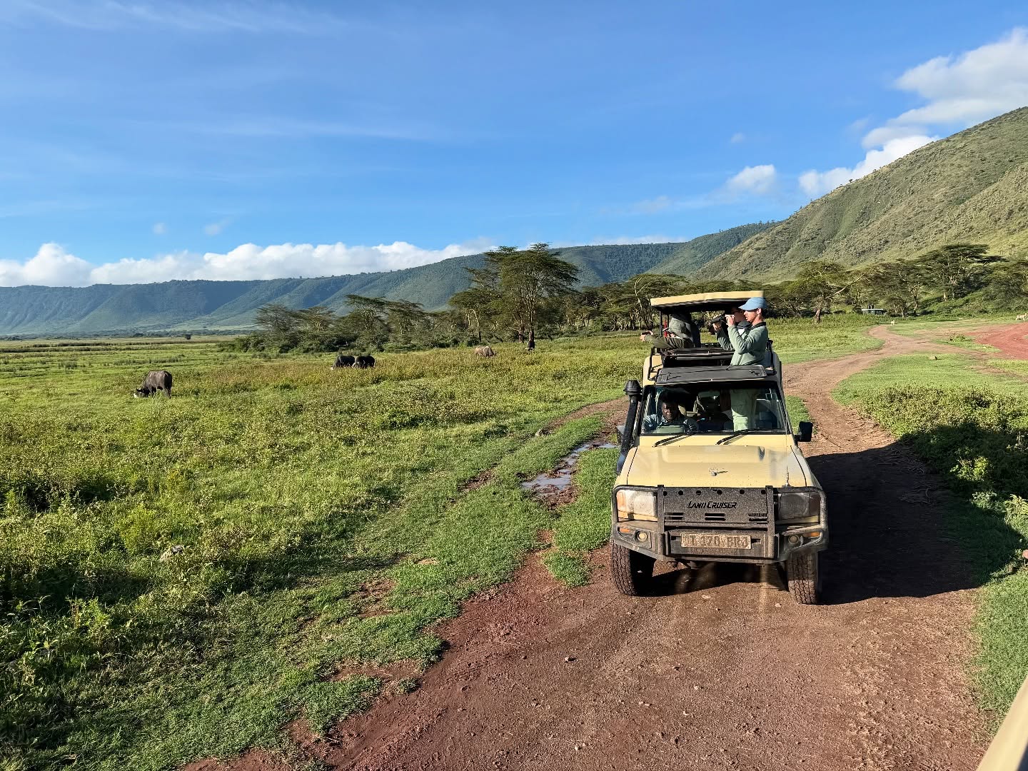 6 Days Tanzania safari