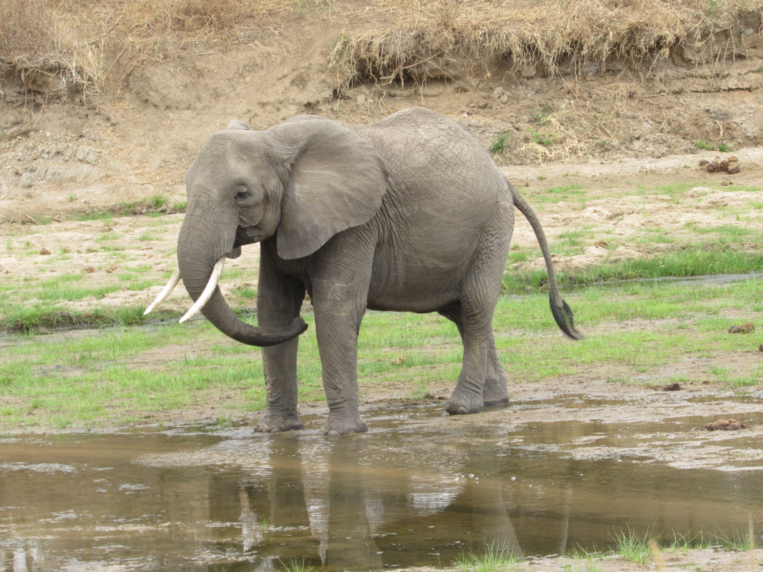 3 Days Tanzania Safari